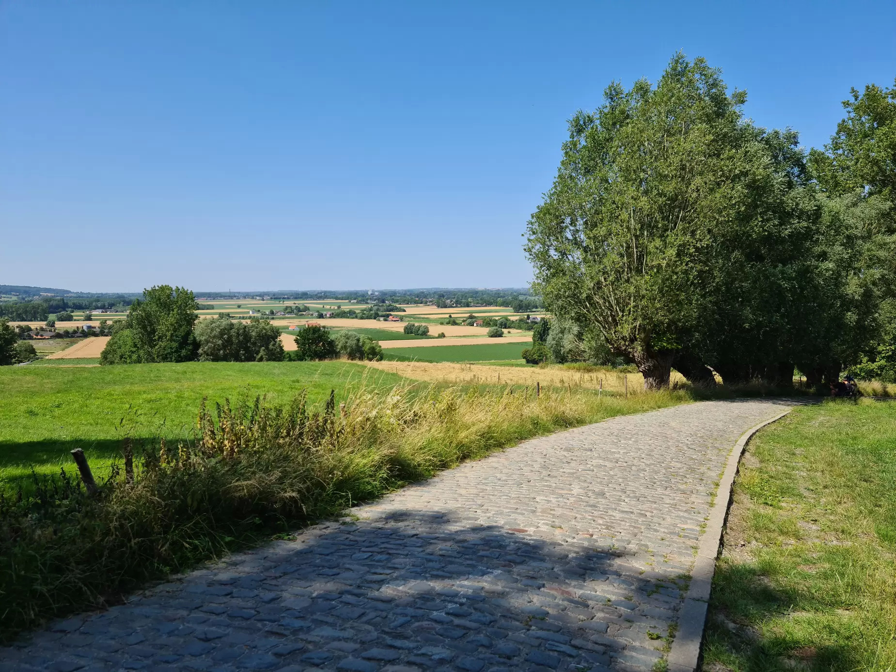 Foto van op de top van de Koppenberg
